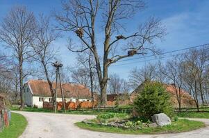 Dorf von Störche zywkowo im Ermland Masuren Woiwodschaft Polen foto