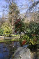 japanisch Gardenin Herbst foto