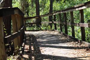 Landschaft um das Marcus Bayou Vogelbeobachtung Weg im pensacola Florida. foto