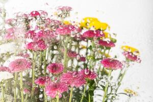 Frühling Blumen- ästhetisch. natürlich bunt Blumen Hintergrund. foto