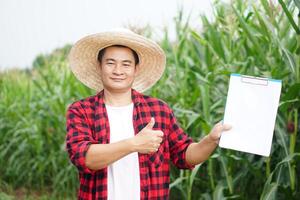 gut aussehend asiatisch Mann Farmer trägt Hut, rot Plaid Shirt, halt leer Papier Zwischenablage, Stand beim Mais Garten. Daumen hoch. Konzept. Landwirtschaft Beruf, inspizieren, befragen und Forschung. foto