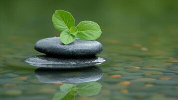 ai generiert zenartig Gleichgewicht. Grün Blätter auf glatt Steine mit reflektierend Wasser Hintergrund foto