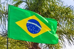 brasilianische Flagge mit Palmen und blauem Himmelshintergrund Brasilien. foto