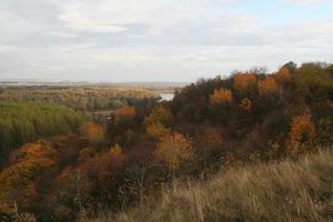 herbstlicher Wald. Naturlandschaft foto