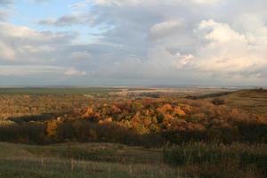 herbstlicher Wald. Naturlandschaft foto