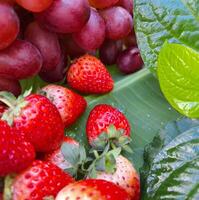 Bild von Erdbeere Trauben platziert auf Blätter foto