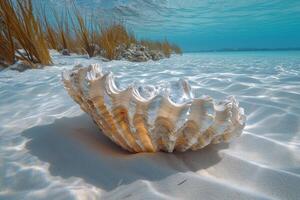 ai generiert einsam Muschel eingebettet im das sandig Meeresboden, es ist Schale glänzend leise im das unter Wasser Licht, ai generiert. foto