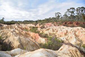 Rosa Klippen geologisch Reservieren Bergbau Aktivität im das spät 19 .. Jahrhundert das dramatisch, bunt Klippen, Heathcote, Viktoria, Australien. foto