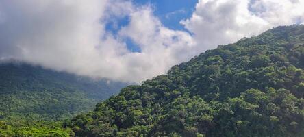 Wald verhüllt im Nebel auf ein Berg im Ubatuba, Norden Küste von Brasilien foto