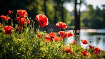 ai generiert Feld von beschwingt rot Mohnblumen mit üppig Grün foto