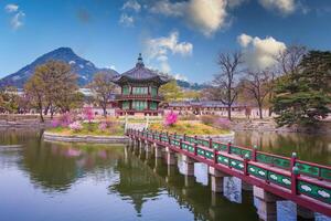 gyeongbokgung Palast mit Kirsche blühen Baum im Frühling Zeit im Seoul Stadt von Korea, Süd Korea. foto