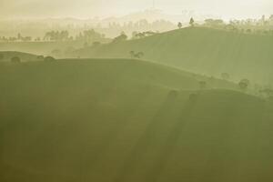 dramatisch Landschaft von Silhouette von Bäume im Grün und neblig Tee Plantagen im Morgen, Bandung, Indonesien foto