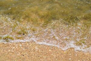 Küsten Meer Wellen. Meerwasser mit Seetang. Küsten Algen. Meer Strand. foto