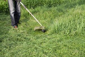 Anwendung Trimmer. Mähen Grün Gras mit ein Angeln Linie Trimmer foto