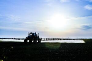 Traktor mit das Hilfe von ein Sprühgerät Sprays Flüssigkeit Düngemittel auf jung Weizen im das Feld. foto