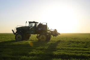 Traktor auf das Sonnenuntergang Hintergrund. Traktor mit hoch Räder ist Herstellung Dünger auf jung Weizen. das verwenden von fein dispergiert sprühen Chemikalien foto