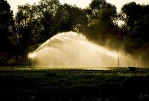 Bewässerung System im Feld von Melonen. Bewässerung das Felder. sprin foto