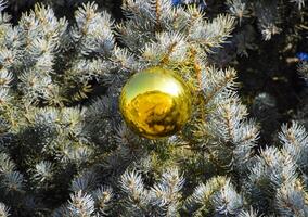 Dekorationen Neu Jahr Baum. Lametta und Spielzeuge, Bälle und andere Dekorationen auf das Weihnachten Weihnachten Baum Stehen im das öffnen Luft. foto