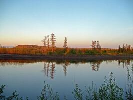 Fluss Landschaft. Nord Rentier im Sommer- Wald. das Himmel, GR foto