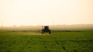 Traktor auf das Sonnenuntergang Hintergrund. Traktor mit hoch Räder ist Herstellung Dünger auf jung Weizen. foto