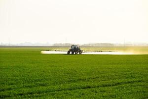 Traktor mit das Hilfe von ein Sprühgerät Sprays Flüssigkeit Düngemittel auf jung Weizen im das Feld. foto