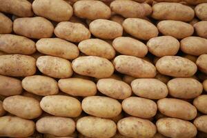 schließen oben von Scheibe von roh Kartoffel Verkauf Super Geschäft foto