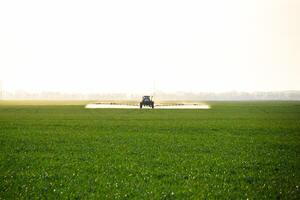 Traktor mit das Hilfe von ein Sprühgerät Sprays Flüssigkeit Düngemittel auf jung Weizen im das Feld. foto