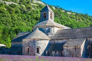 Lavendel im Vorderseite von das abbaye de senanque im Provence foto