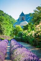 Lavendel im Vorderseite von das abbaye de senanque im Provence foto