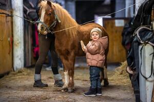 Pferd Pflege Innerhalb das stabil Vor das Fahrt. wenig süß Mädchen und Pony. hoch Qualität 4k Aufnahmen foto