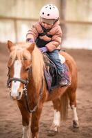 wenig Kind Reiten Lektion. Drei Jahre alt Mädchen Fahrten ein Pony und tut Übungen. hoch Qualität Foto