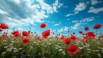 ai generiert schön natürlich Hintergrund mit Mohn Blume Feld und Blau Himmel groß Copyspace Bereich mit Kopieren Raum zum Text foto