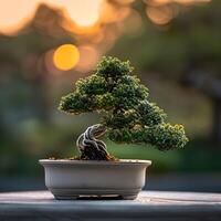 ai generiert Bonsai Baum im ein minimalistisch Zimmerpflanze Topf foto