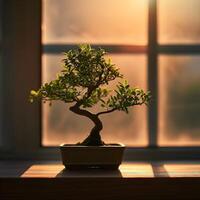 ai generiert Bonsai Baum im ein minimalistisch Zimmerpflanze Topf foto