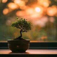 ai generiert Bonsai Baum im ein minimalistisch Zimmerpflanze Topf foto