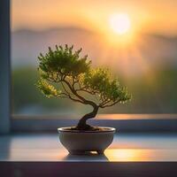 ai generiert Bonsai Baum im ein minimalistisch Zimmerpflanze Topf foto