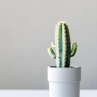 ai generiert Kaktus im ein minimalistisch Zimmerpflanze Topf foto