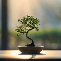 ai generiert Bonsai Baum im ein minimalistisch Zimmerpflanze Topf foto