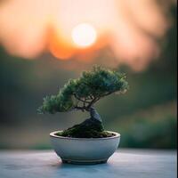 ai generiert Bonsai Baum im ein minimalistisch Zimmerpflanze Topf foto