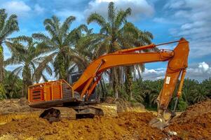 Bulldozer im Palme Öl Plantagen foto
