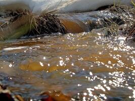 Streams von Wasser im ein klein Fluss. das fließen von Wasser. foto