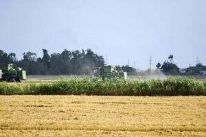 kombinieren Erntemaschinen. landwirtschaftlich Maschinen. foto