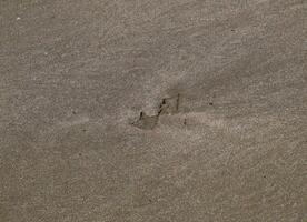 Spuren von ein Möwe auf das Sand durch das Meer foto