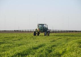 Traktor auf das Sonnenuntergang Hintergrund. Traktor mit hoch Räder ist Herstellung Dünger auf jung Weizen. das verwenden von fein dispergiert sprühen Chemikalien foto