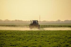 Traktor auf das Sonnenuntergang Hintergrund. Traktor mit hoch Räder ist Herstellung Dünger auf jung Weizen. das verwenden von fein dispergiert sprühen Chemikalien foto