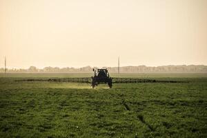 Traktor auf das Sonnenuntergang Hintergrund. Traktor mit hoch Räder ist Herstellung Dünger auf jung Weizen. das verwenden von fein dispergiert sprühen Chemikalien foto