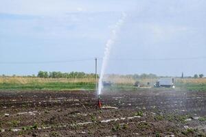 Bewässerung System im Feld von Melonen. Bewässerung das Felder. Sprinkler foto