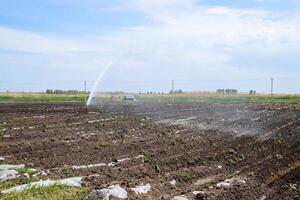 Bewässerung System im Feld von Melonen. Bewässerung das Felder. Sprinkler foto