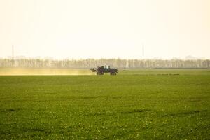 Traktor mit das Hilfe von ein Sprühgerät Sprays Flüssigkeit Düngemittel auf jung Weizen im das Feld. foto
