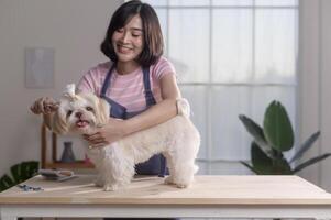 weiblich Fachmann Pistenfahrzeug Trimmen Haarschnitt und Kämmen Hund Pelz beim Haustier Spa Pflege Salon foto